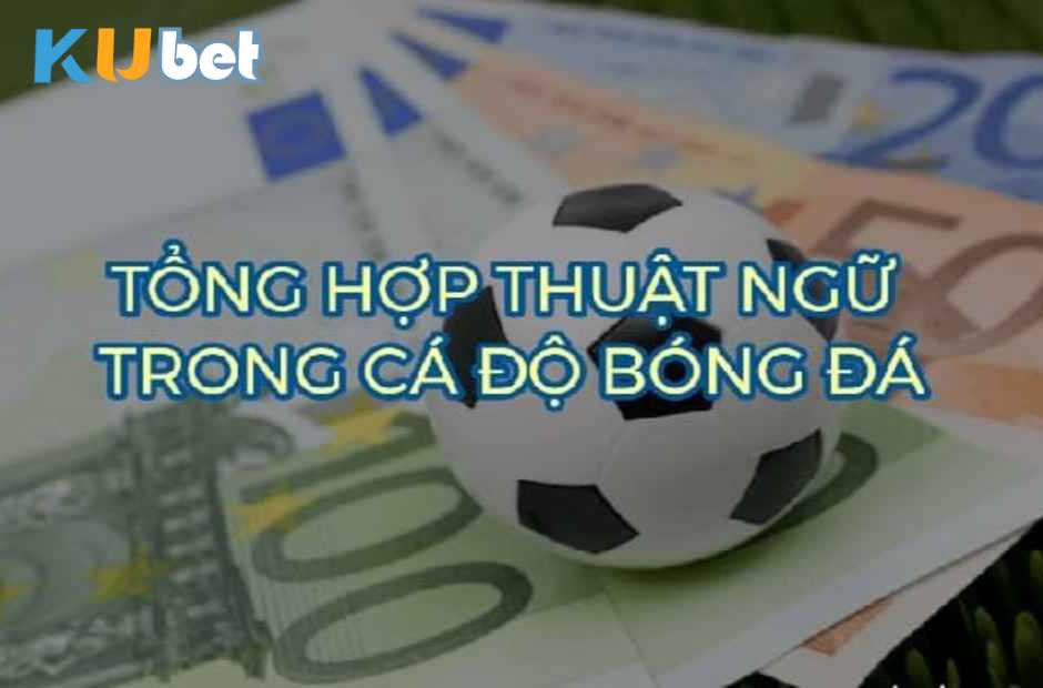 Tổng hợp thuật ngữ trong cá độ bóng đá 