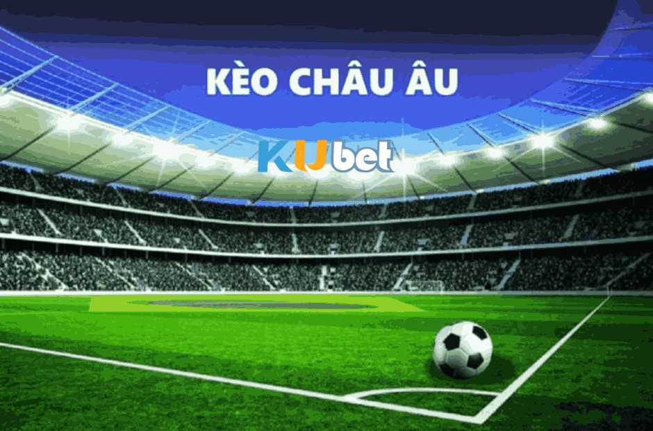 Những thuật ngữ cá độ bóng đá kubet